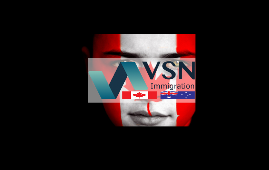 VSN Immigration